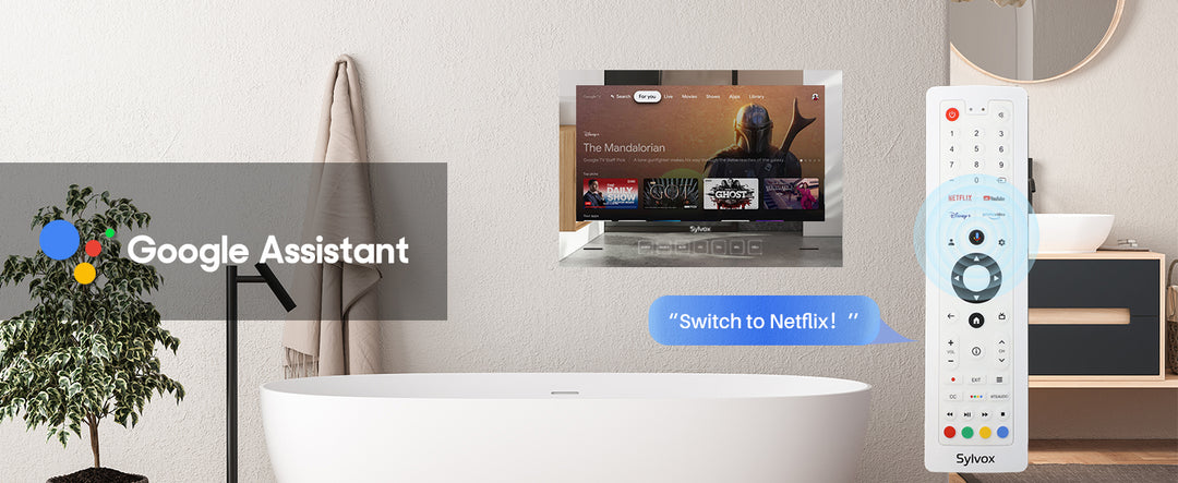 Google Assistant and 3 IN 1 Remote