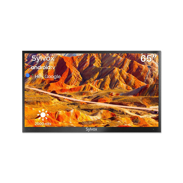 65" 2000Nit Android Outdoor TV (Full Sun) - 2023 Pool Pro Series