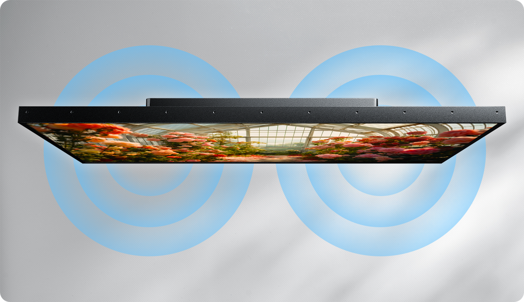 Dolby Audio