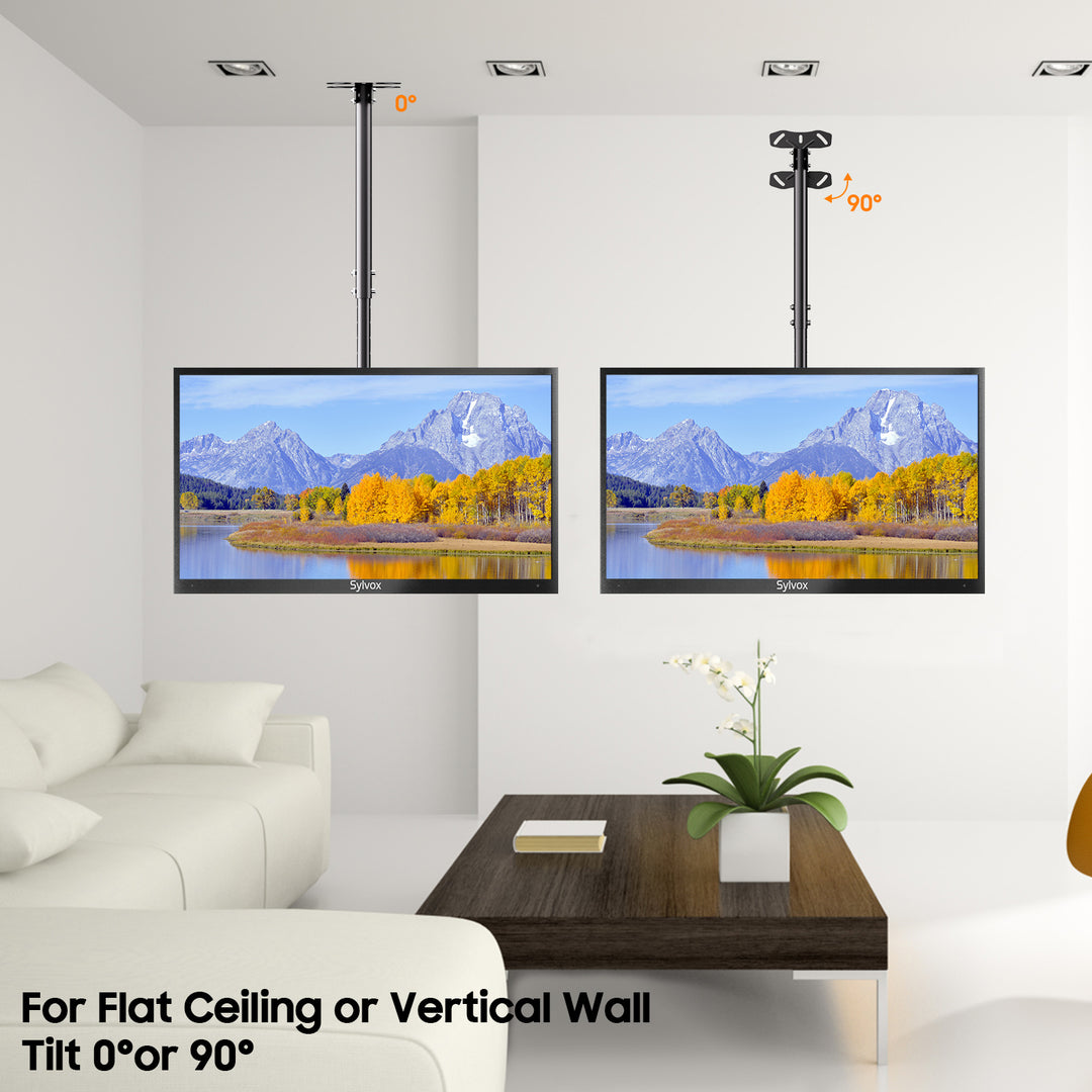 Sylvox Outdoor TV Ceiling Mount