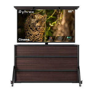 65" Lift Cabinet + Cinema 65" (Full Sun)