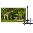 43" Frameless Pro Full Sun Outdoor TV with Ceiling Mount