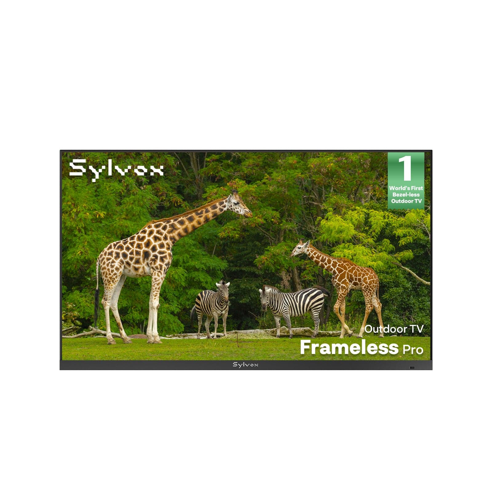 43" Anti Glare Outdoor TV 2026 Frameless Pro Series