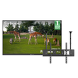 55" Anti-Glare Outdoor TV (Google TV) - 2026 Frameless Pro Series