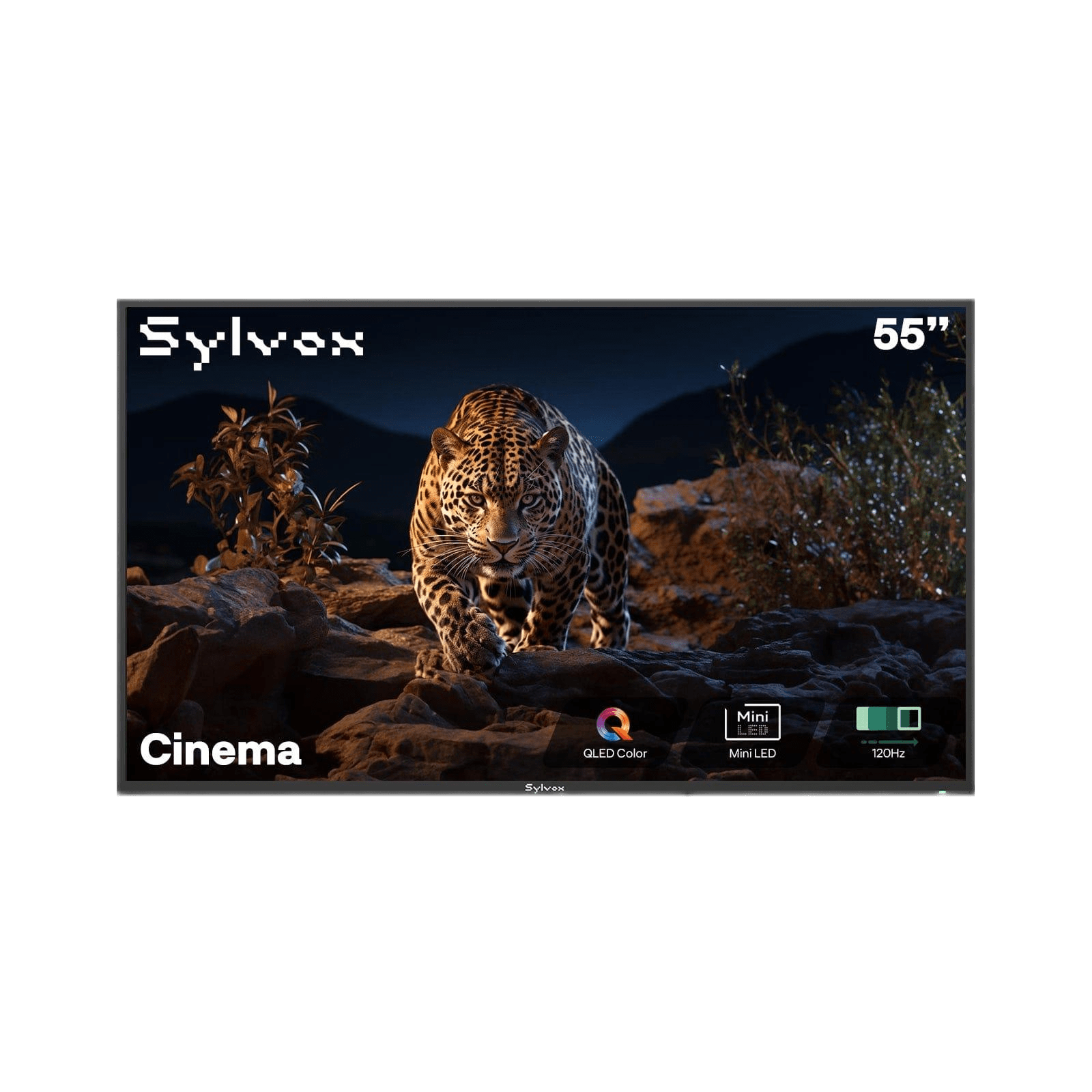 55" Outdoor TV 2000 Nits 120Hz 2025 Cinema Helio QLED