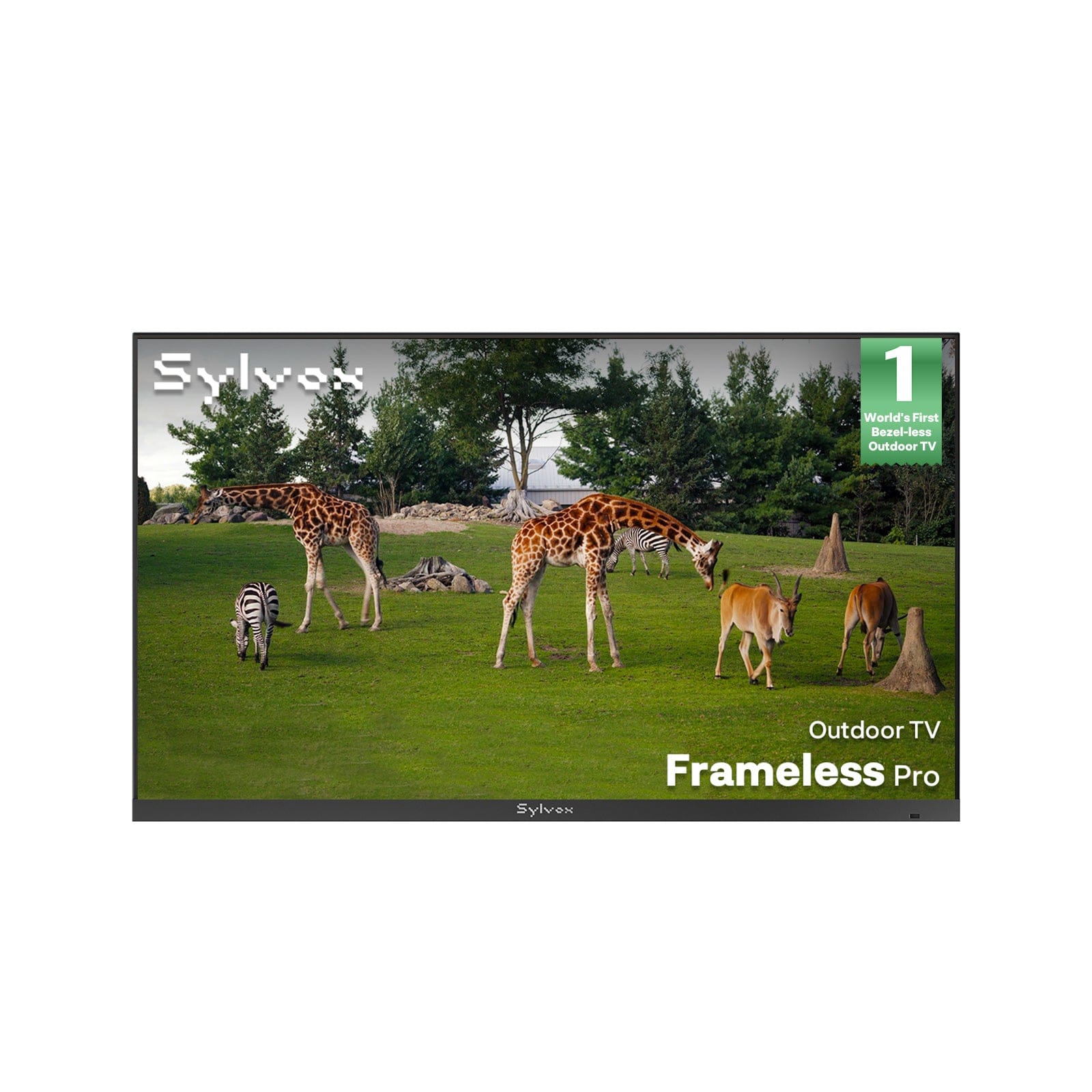 55" Anti Glare Outdoor TV 2026 Frameless Pro Series
