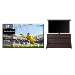 Lift Cabinet + 55'' Gaming
