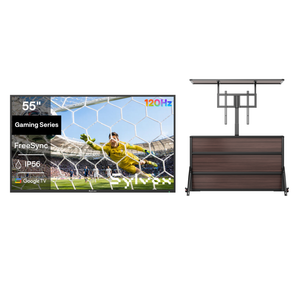 Lift Cabinet + 55'' Gaming