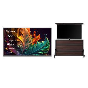 Lift Cabinet + 55'' Pool Pro Qled 2.0