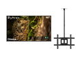 65" Cinema Helio QLED Full Sun Outdoor TV with Ceiling Mount
