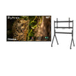 65" Cinema Helio QLED Full Sun Outdoor TV with Rolling TV Cart

