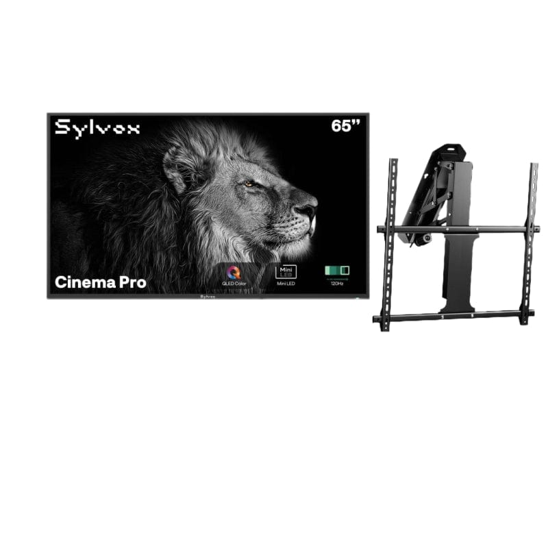 65" Cinema Pro Helio QLED Full Sun Outdoor TV with Mortorized Ceiling Mount
