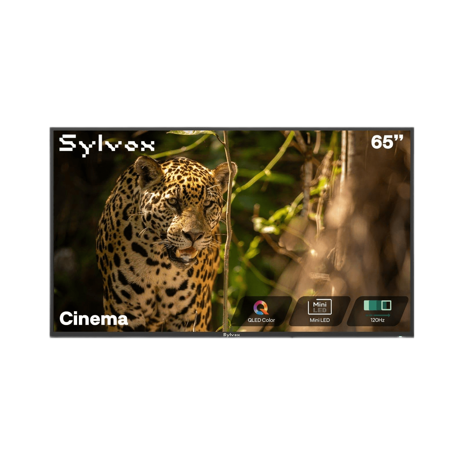 65" Outdoor TV 2000 Nits 120Hz 2025 Cinema Helio QLED