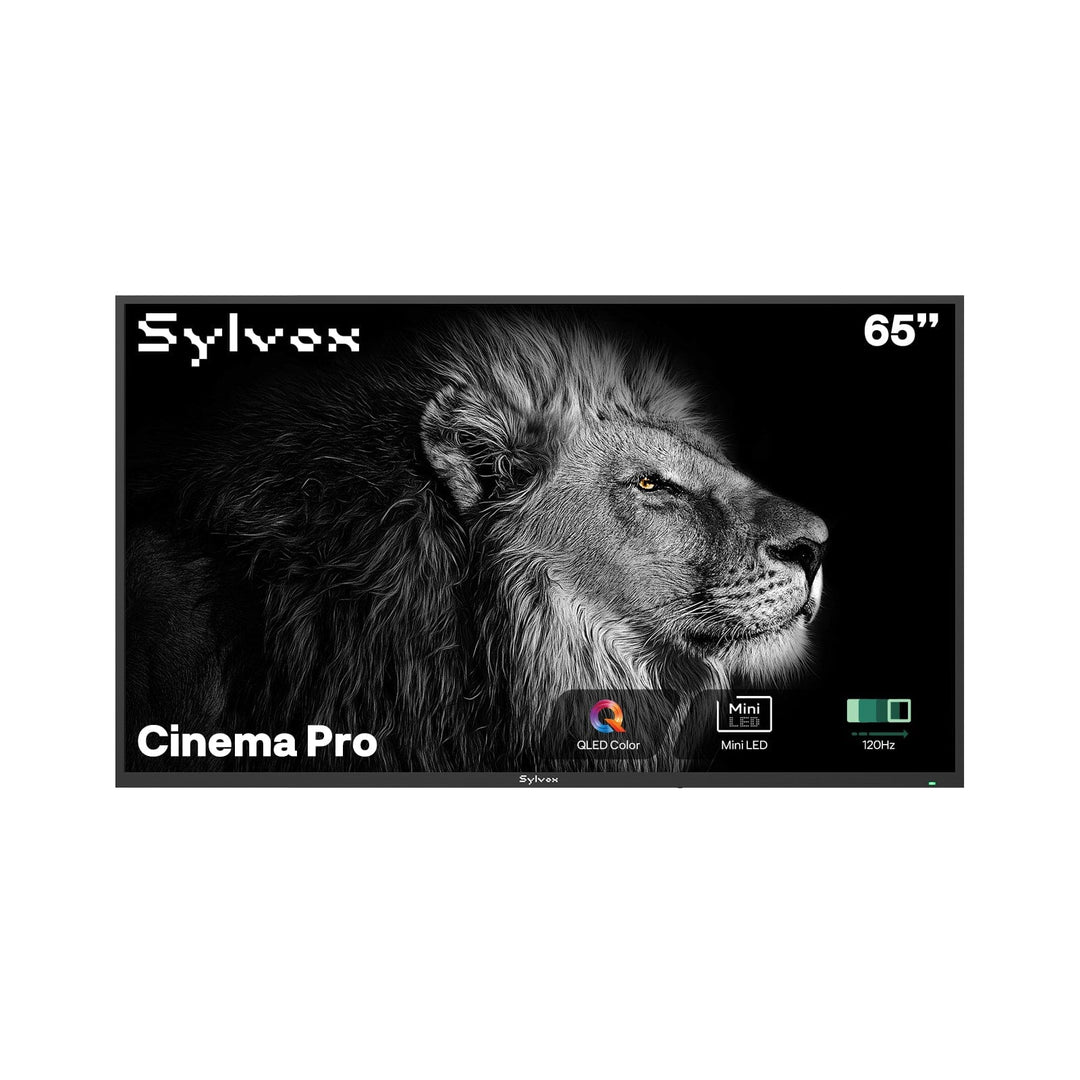 65" Outdoor TV 3500 Nits 120Hz 2025 Cinema Pro Helio QLED