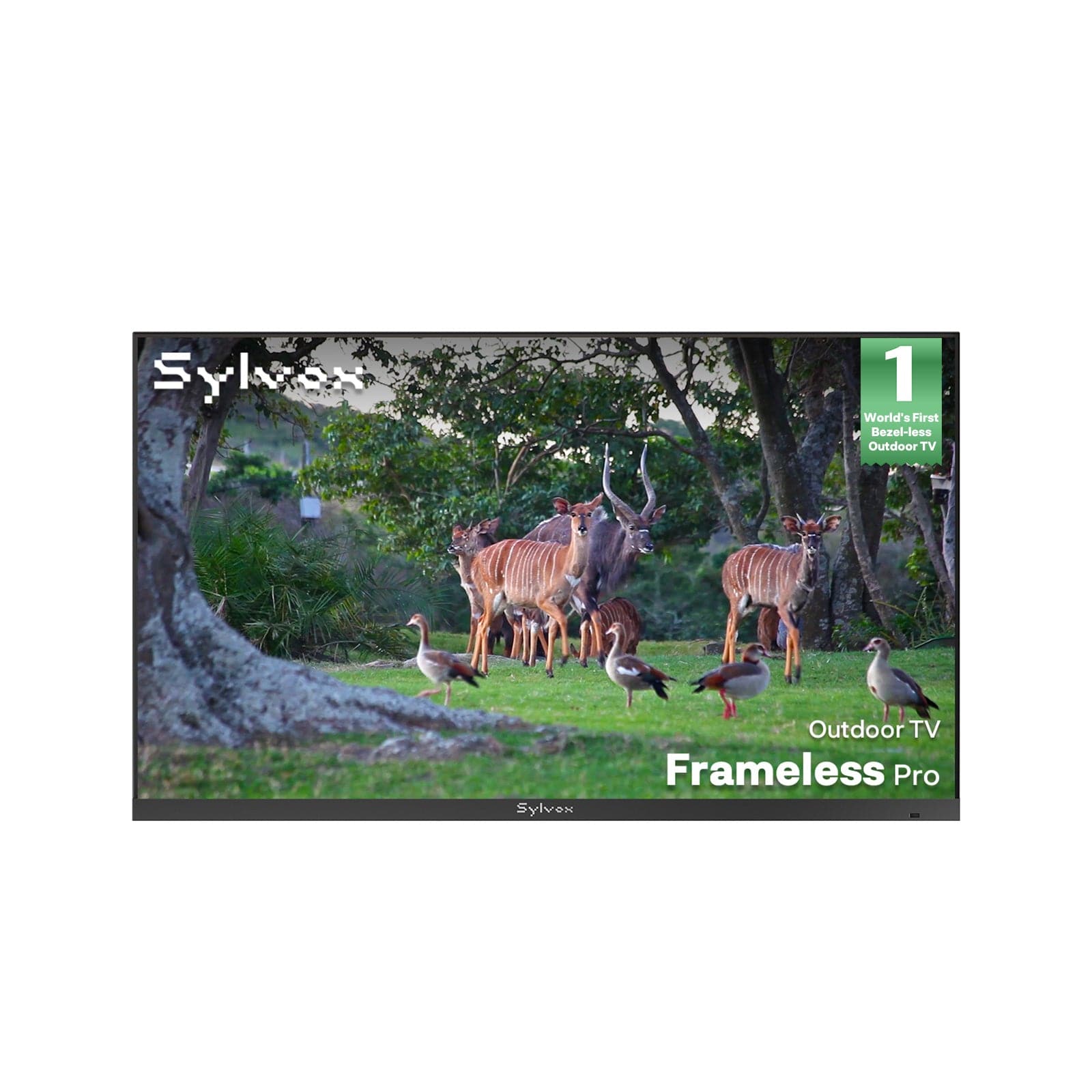 65" Anti Glare Outdoor TV 2026 Frameless Pro Series