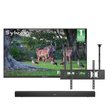 65" Anti-Glare Outdoor TV (Google TV) - 2026 Frameless Pro Series