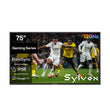 75" Waterproof Outdoor TV-2025 Gaming Series(120HZ)