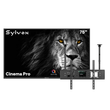 75" Outdoor TV, 3500 Nits, 120Hz - 2025 Cinema  Pro Helio QLED