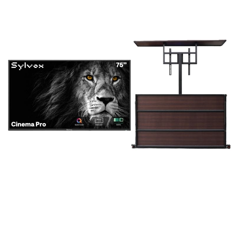 75" Cinema Pro Helio QLED Full Sun Outdoor TV with Cabinet
