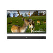 75" Frameless Pro Full Sun Outdoor TV with Outdoor Soundbar