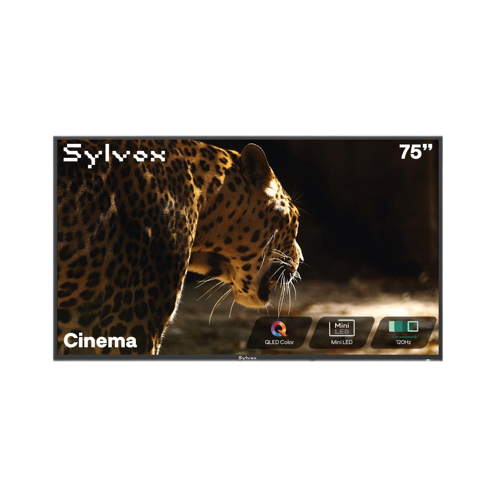 75" Outdoor TV 2000 Nits 120Hz 2025 Cinema Helio QLED