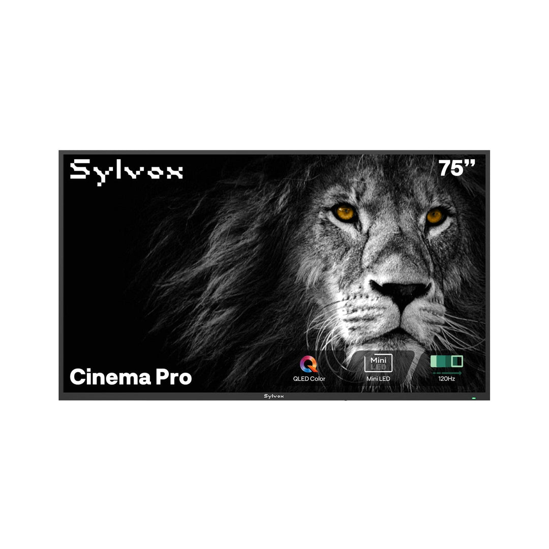 75" Outdoor TV 3500 Nits 120Hz 2025 Cinema Pro Helio QLED
