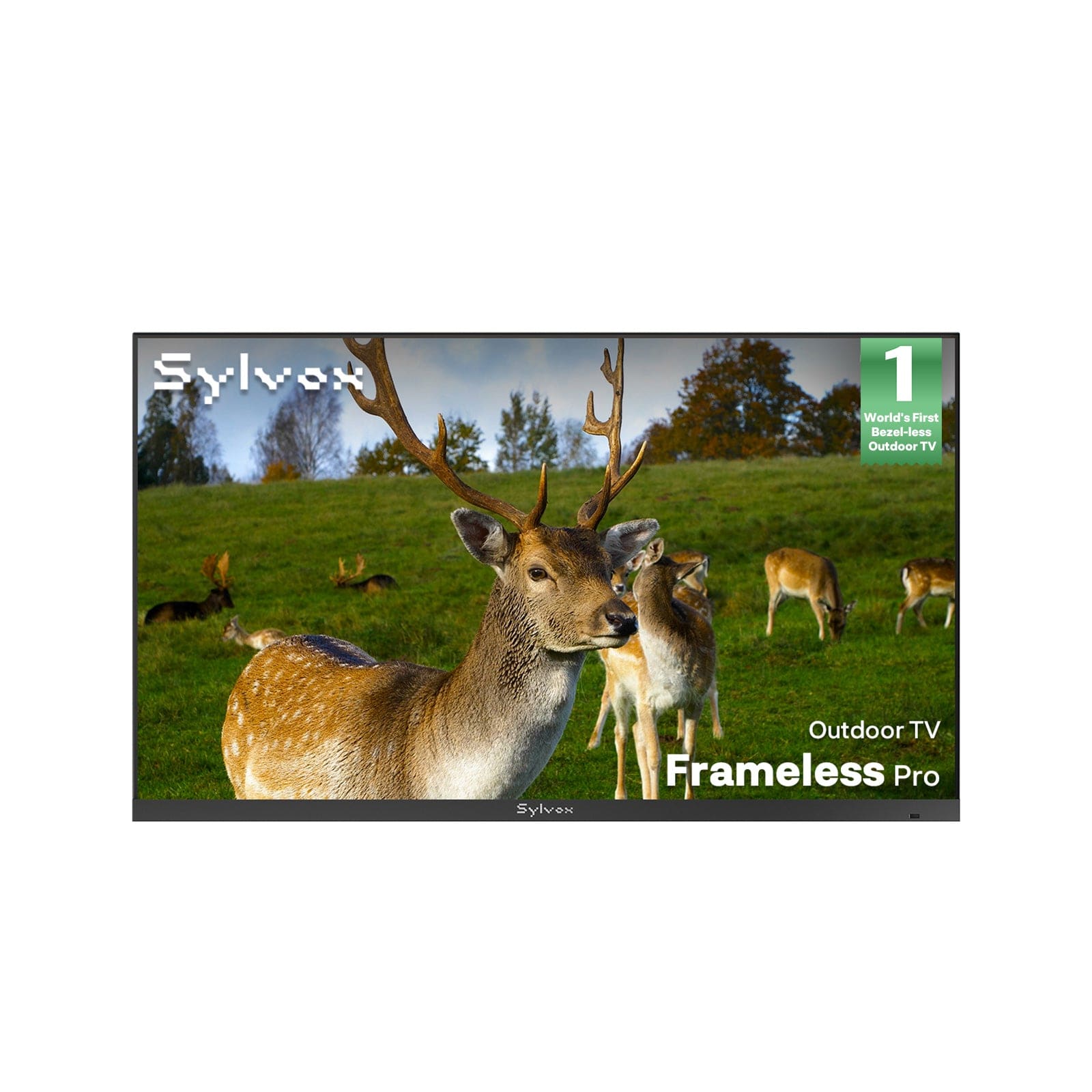 75" Anti Glare Outdoor TV 2026 Frameless Pro Series