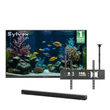 75" Anti-Glare Outdoor TV (Google TV) - 2026 Frameless Series