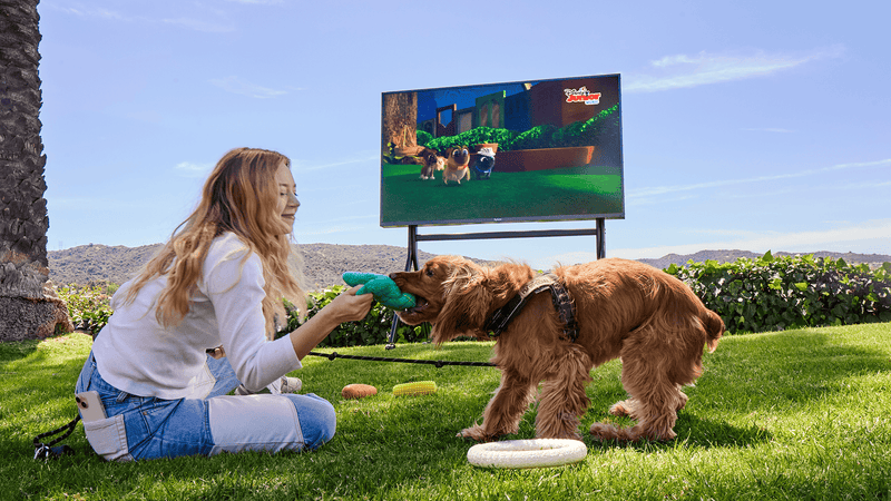 Full Sun (Direct Sunlight)