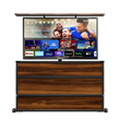 Deck Pro 65" Partial Sun Outdoor TV with Cabinet