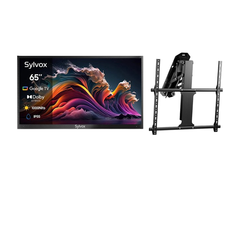 Deck Pro Qled 2.0 65" Partial Sun Outdoor TV with Mortorized Ceiling Mount