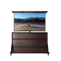 Weatherproof Outdoor TV Lift Cabinet for 55" TVs